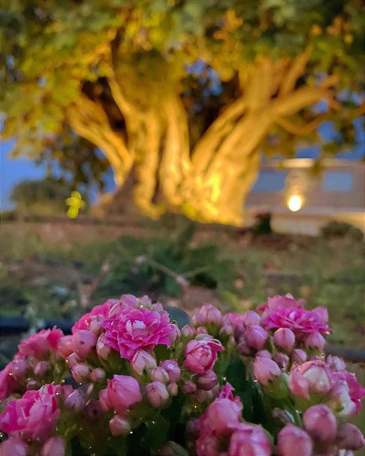 Carrua Guest House Marzamemi Luaran gambar