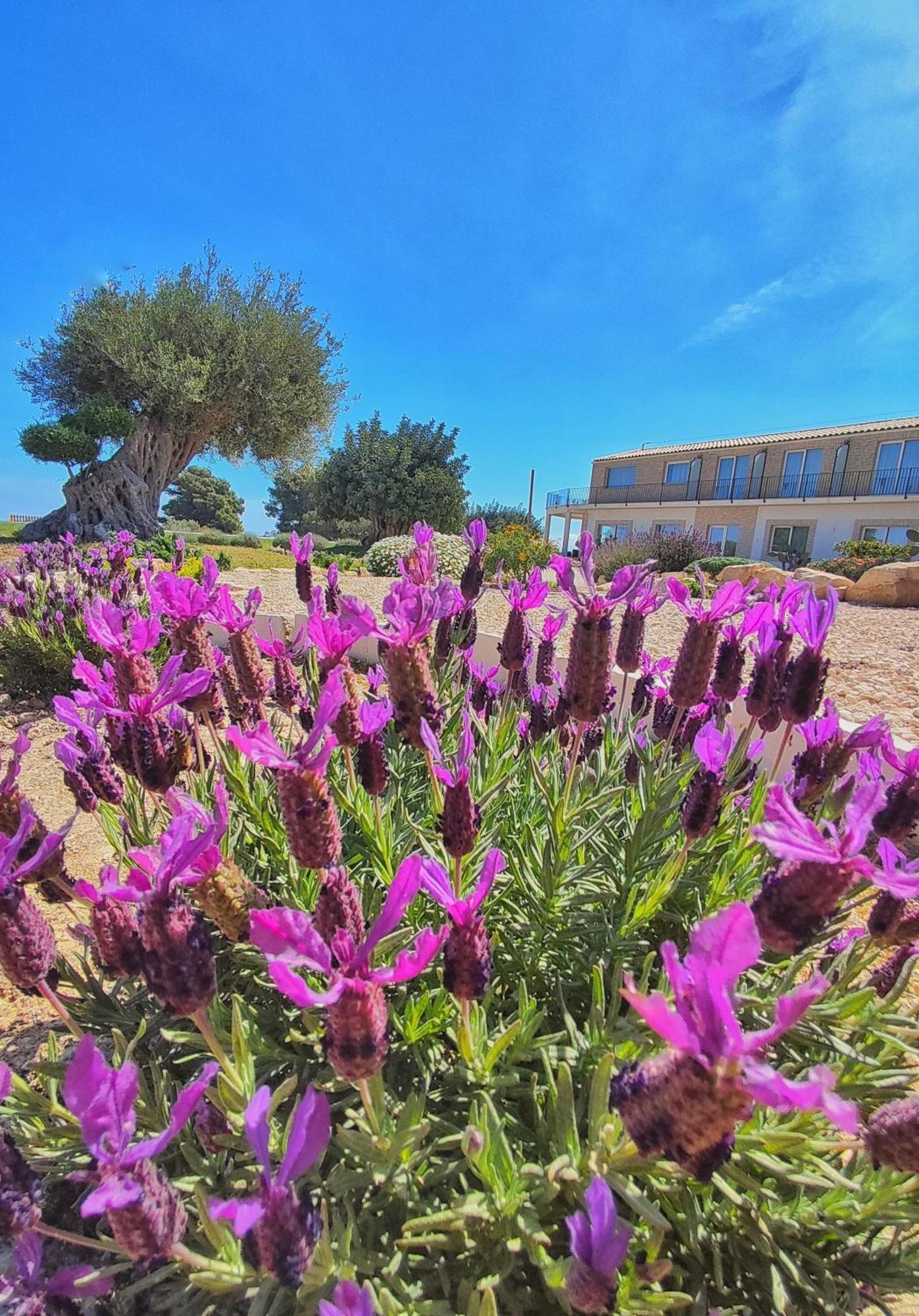Carrua Guest House Marzamemi Luaran gambar